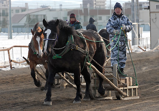 大口泰騎手調教中031807