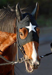 サイレントエクセル120606_1