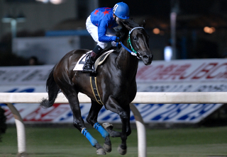 090706キョウエイアオバ