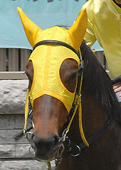 ウエスタンフォルス050606東京