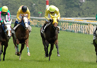 ウエスタンフォルス050606東京_2