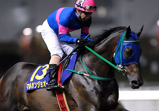 マルカンジョオー070407_2