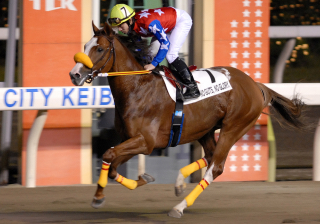 110806バガバッドギーター