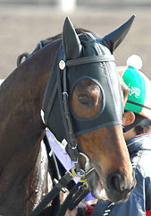 トライアンドエラー050307_1