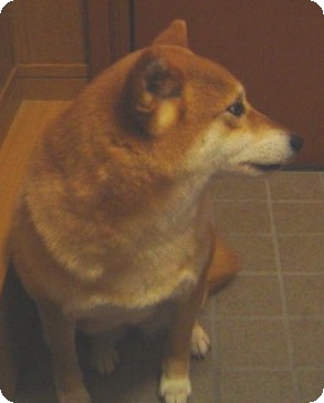 ドア開かないかな・・