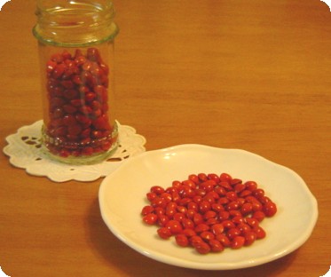 幸せを呼ぶサガの実