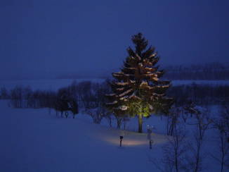 てふてふ サロンからの眺め