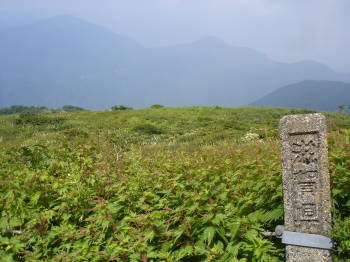 中央遊歩道から