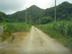 ＨＥＲＢへの道１