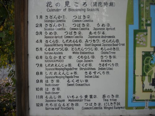 二条城・花の見頃