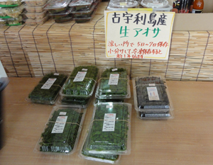 古宇利島産の生アオサ