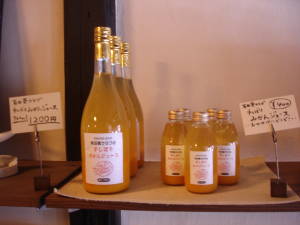 有田葵クラブ手しぼりみかんジュース