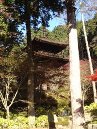 金剛輪寺三重塔