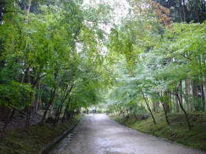 醍醐寺３