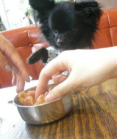 じゃ！ハナも！