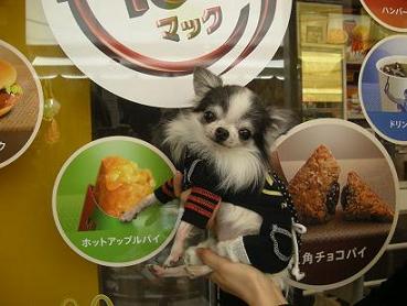 １００円クルフィ？？