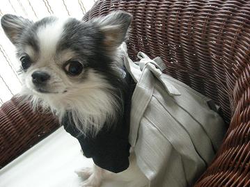 振り向きポーズ