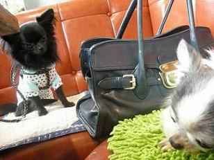 まだたべてる？