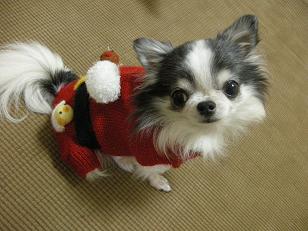 まろママありがと！