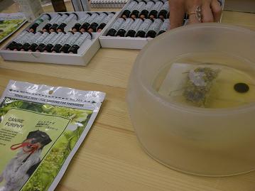 ハーブカウンセリング