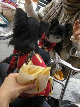 熱い視線の先は・・・