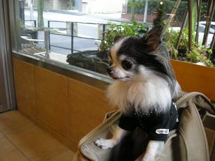 クルフィも！！