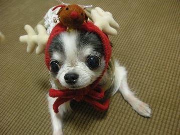 ママがしたくせに・・・