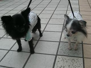 そんなことないよ