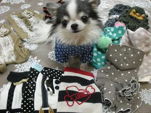 全部クルフィの？