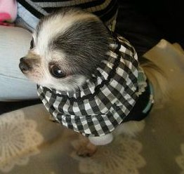 事務員のおじさん？