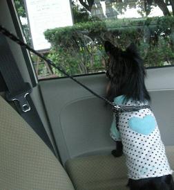 ママ～～～～！