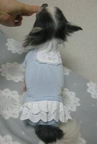 後ろ姿ムッチリ