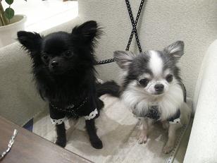 テンション低っ！！