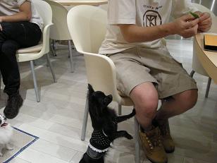 ちょうーだい？