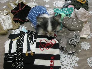 おふとんですか？