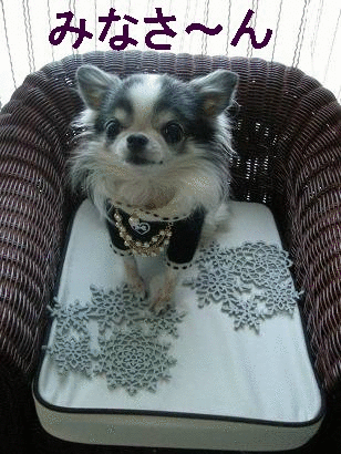 ２００７ご挨拶