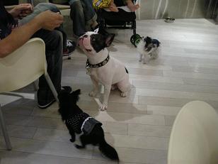 くれくれタイム