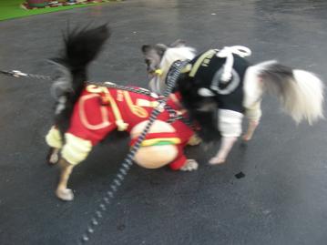 浮いたっ！！！