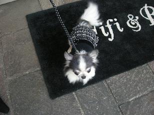 ワンピ着こなすわが子