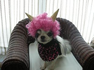 フクは～～～うち！