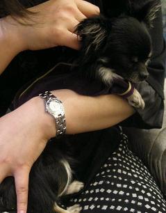 よもまま＆まろ