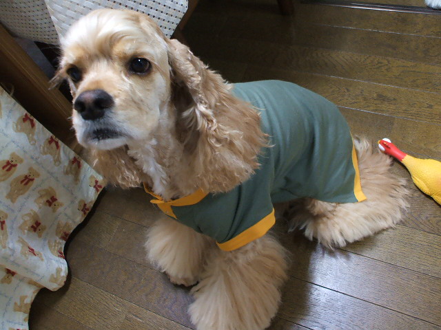 2007_0220(003).JPG