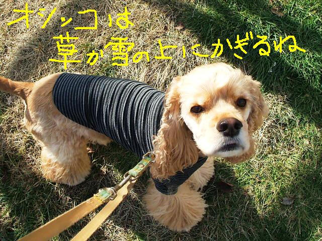 おしっこ.JPG