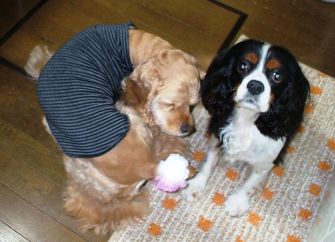 2007_0119画像0008.JPG