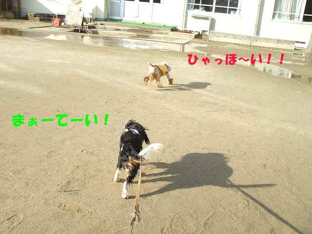 まてー.jpg