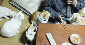 みんな勢揃いまで、あと２匹