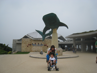 resize0384.jpg