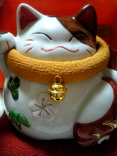 2008-01-31 22:31:53
