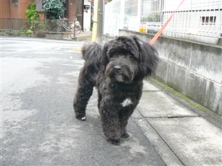 P1040675 (カスタム).JPG