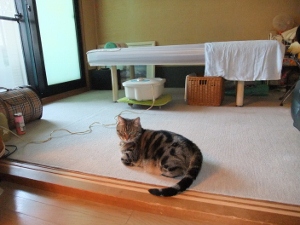 DSCF4012 (300x225).jpg